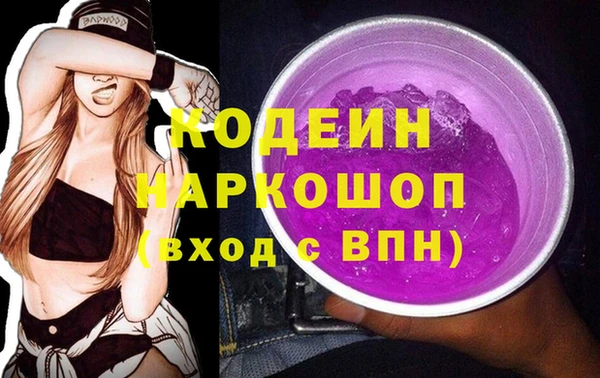 шишки Пестово