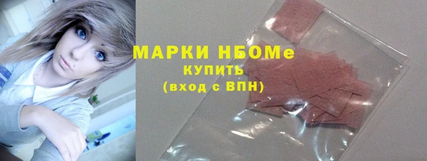 шишки Пестово