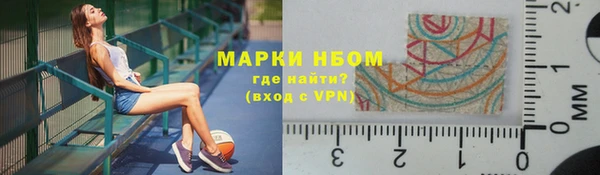 шишки Пестово